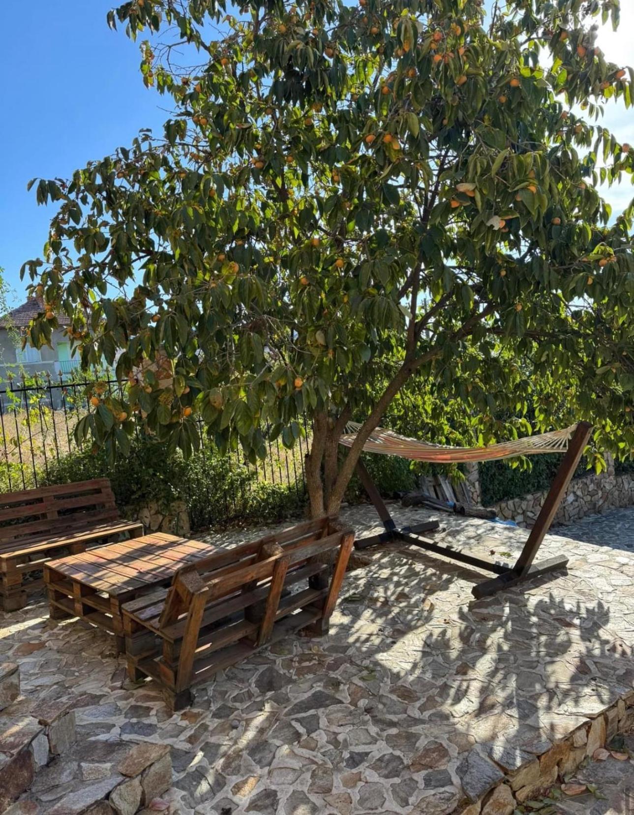 Sunshine Villa Dzhigurovo Sandanski Exteriér fotografie