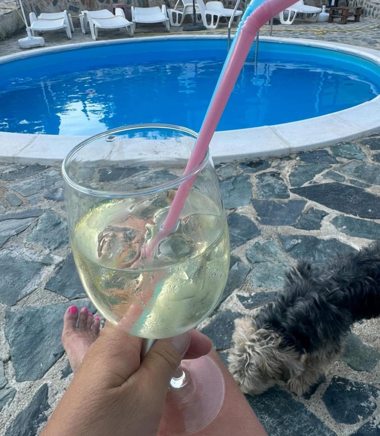 Sunshine Villa Dzhigurovo Sandanski Exteriér fotografie